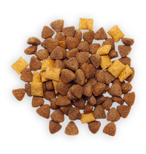 Dog Food 6 Dog Food 6